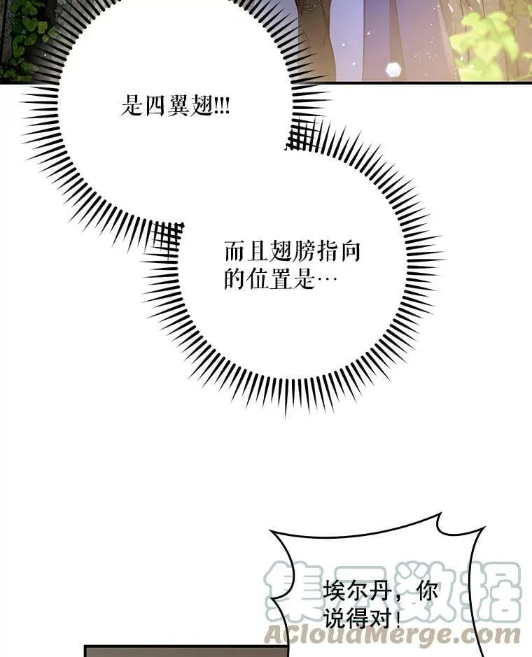 56.无知之幕 第13页
