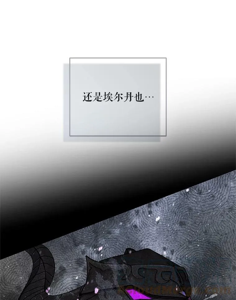 57.讨伐阿瓦多斯 第67页