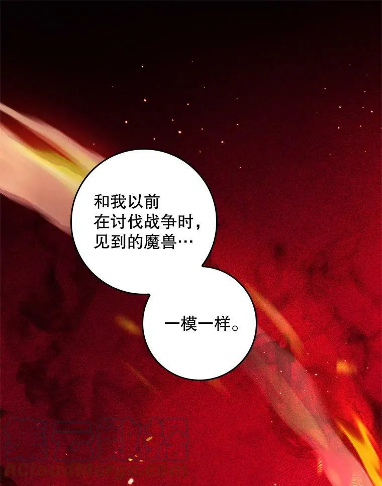 63.阿瓦多斯的遭遇 第13页