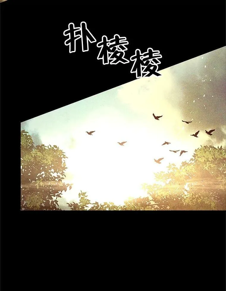 63.阿瓦多斯的遭遇 第26页