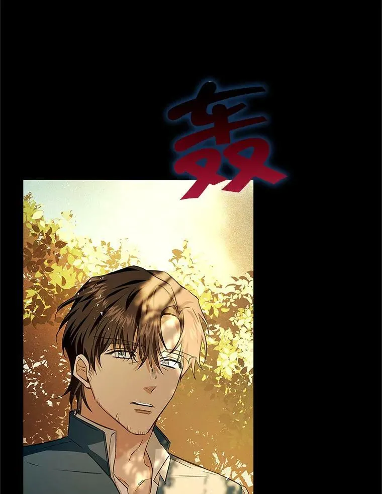 63.阿瓦多斯的遭遇 第27页