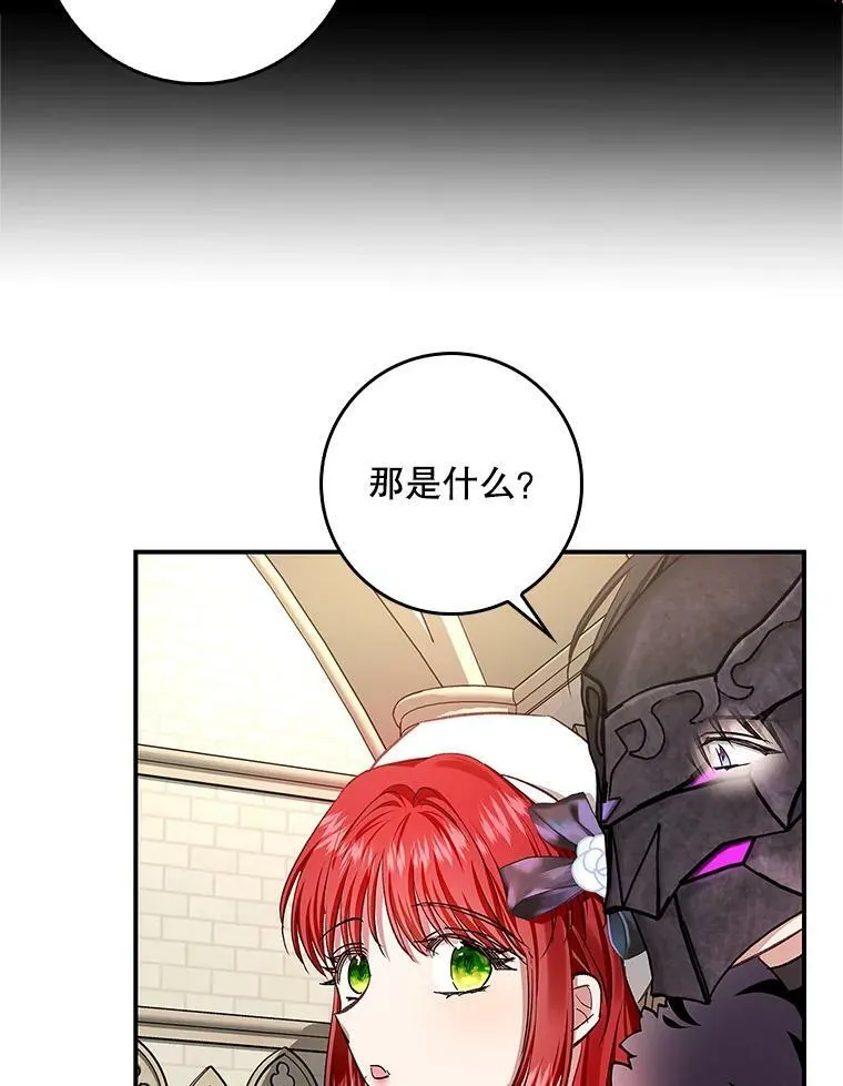 65.恶魔网络 第47页