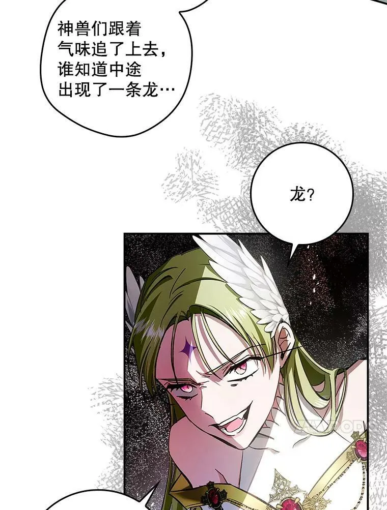 66.使用奇迹 第43页