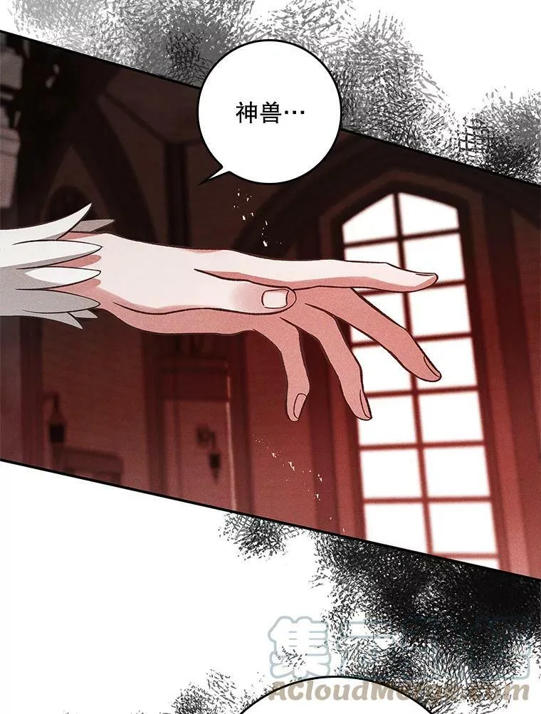 66.使用奇迹 第45页
