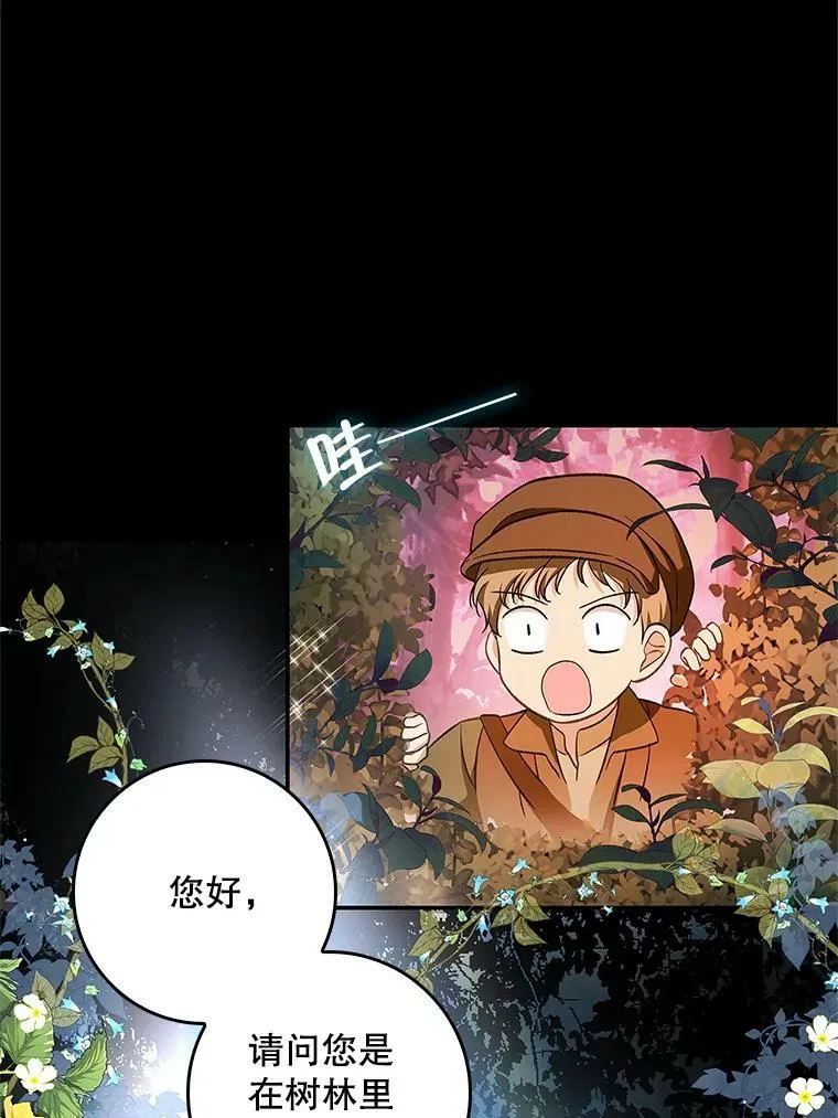 66.使用奇迹 第87页