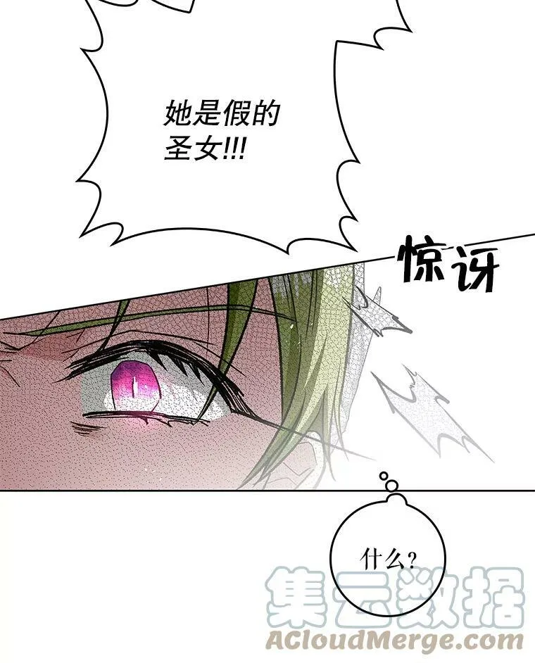 67.抢走教徒 第101页