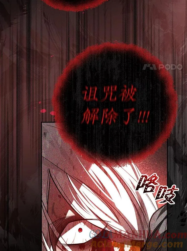 105.诅咒残片 第41页