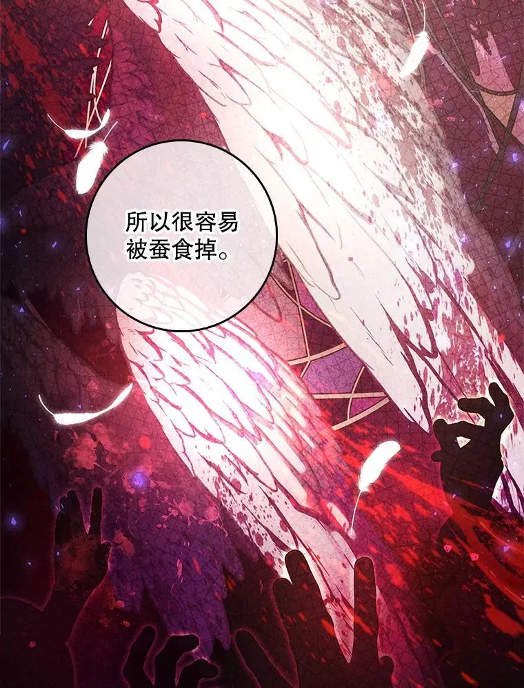 105.诅咒残片 第91页