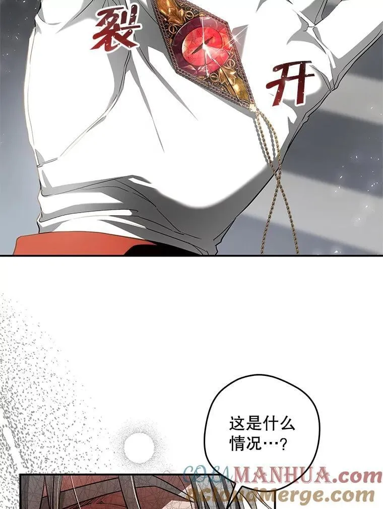 106.皇帝消失 第49页
