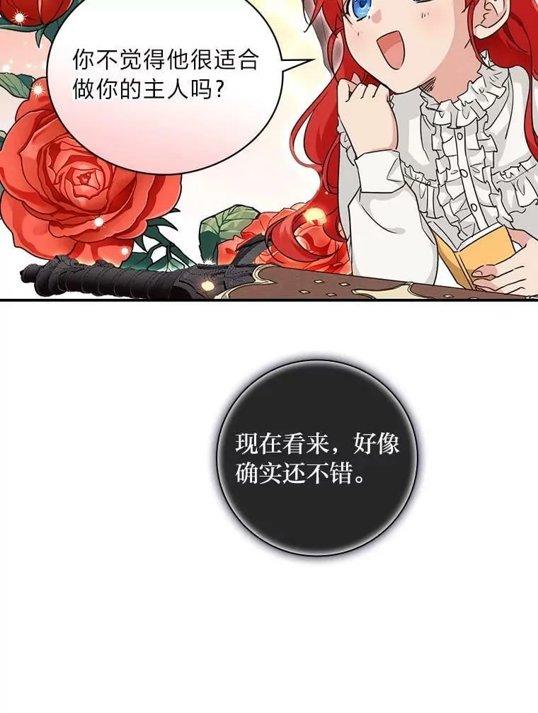 15.迟来的落寞 第11页