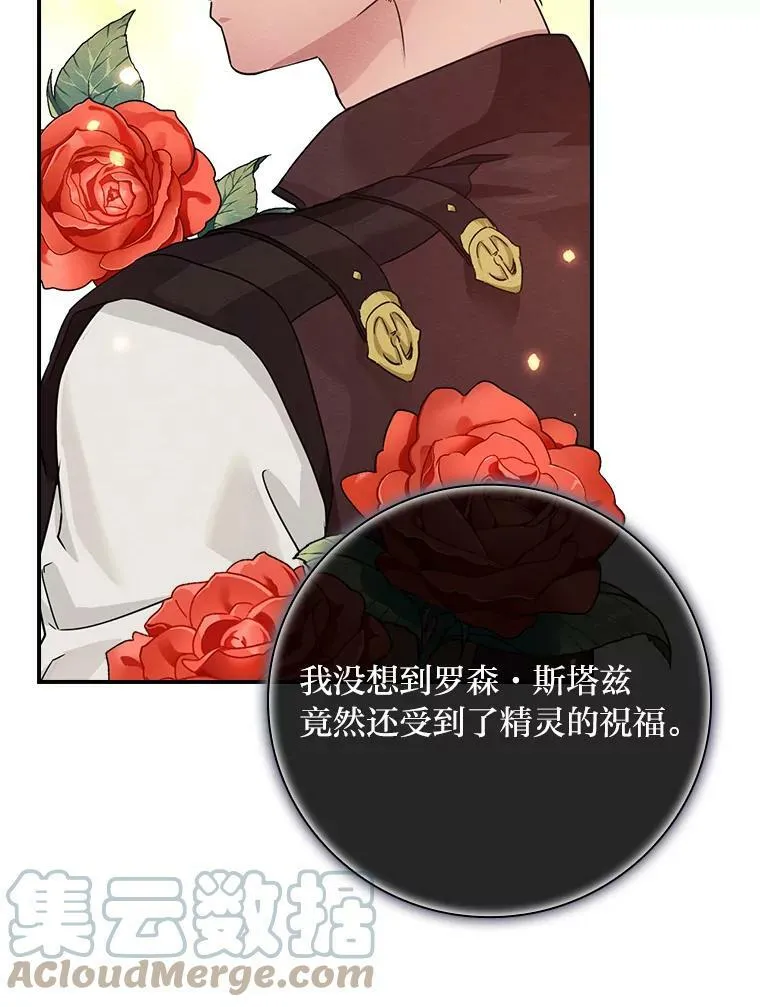 15.迟来的落寞 第13页