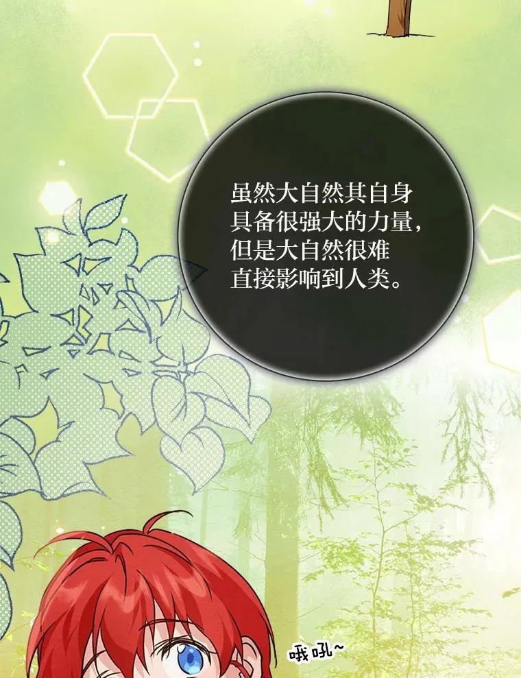 15.迟来的落寞 第19页