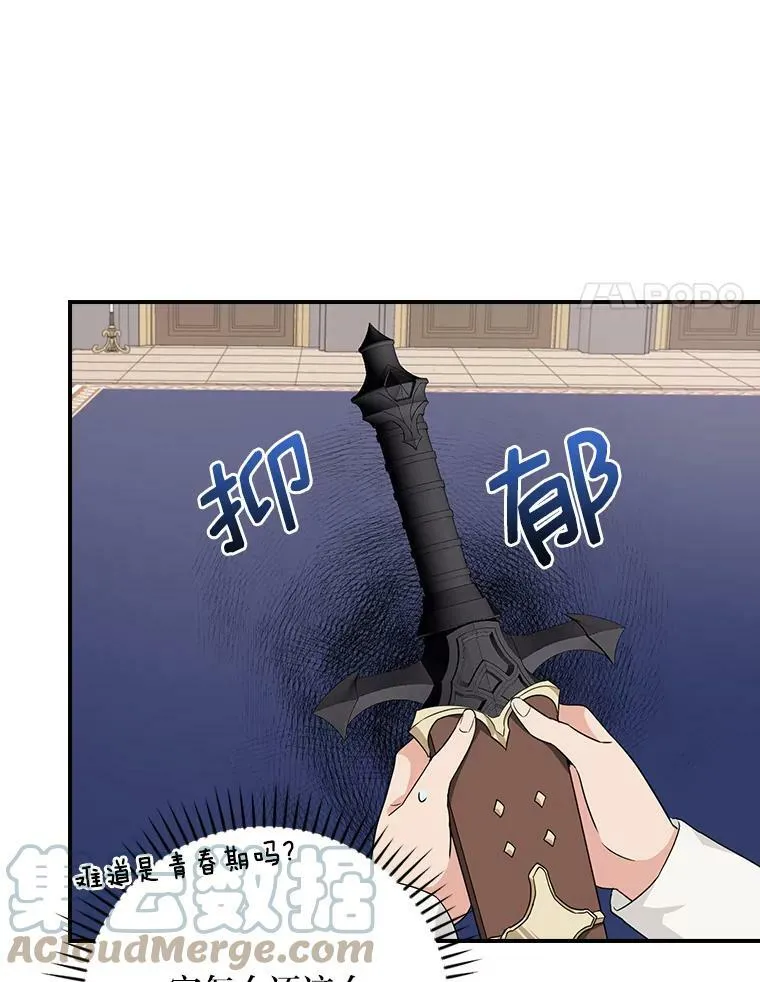 21.郁闷的屠龙剑 第49页