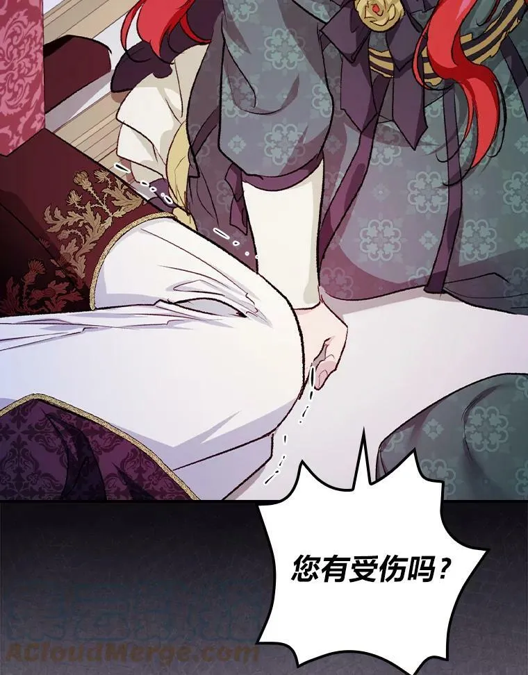 30.马车遇险 第93页