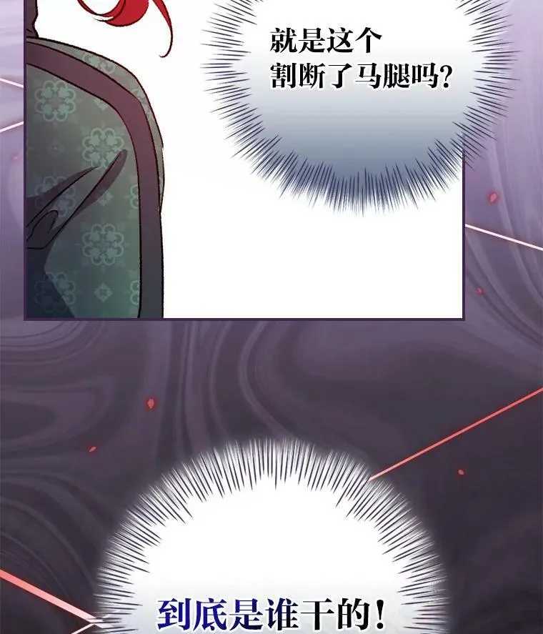 30.马车遇险 第114页