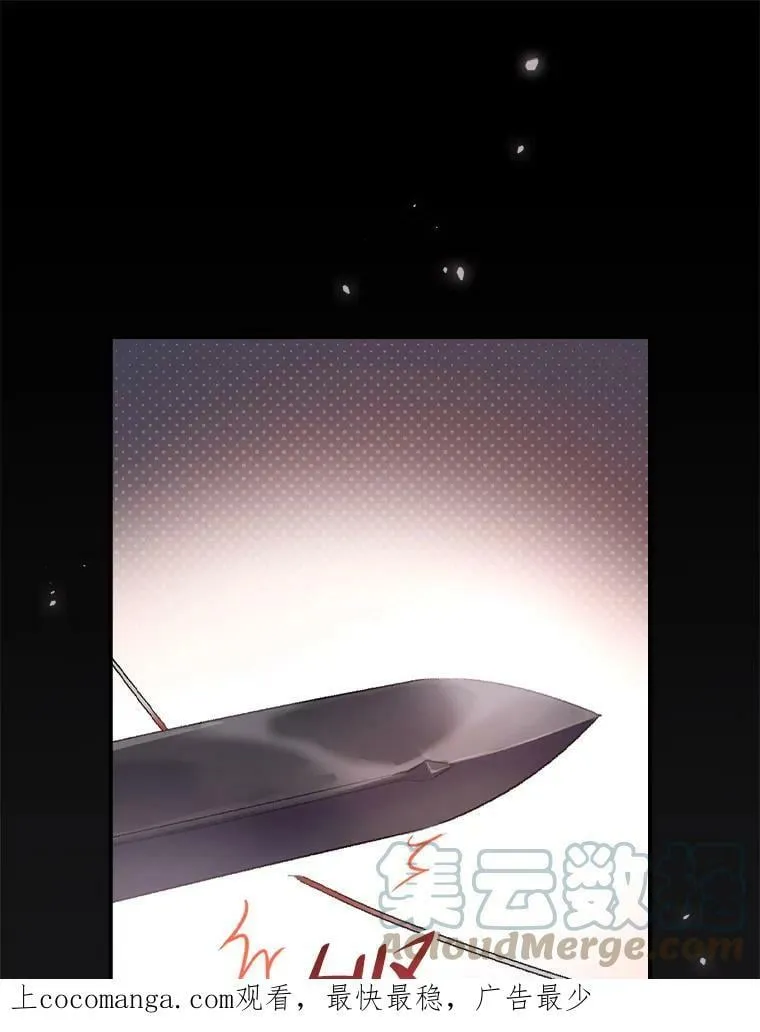 30.马车遇险 第117页