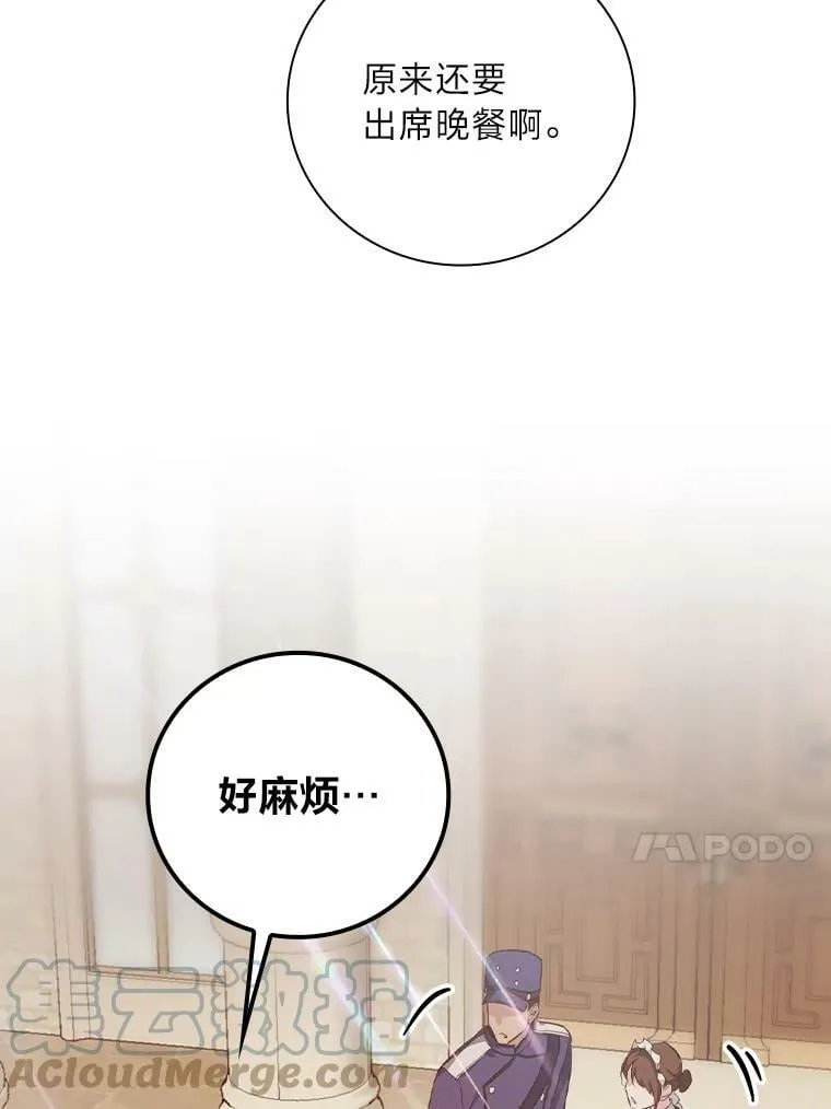 33.备受瞩目 第13页