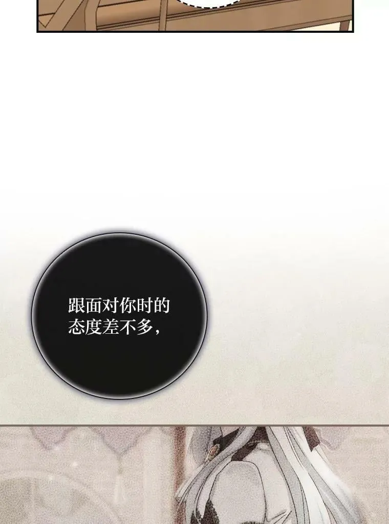 33.备受瞩目 第62页