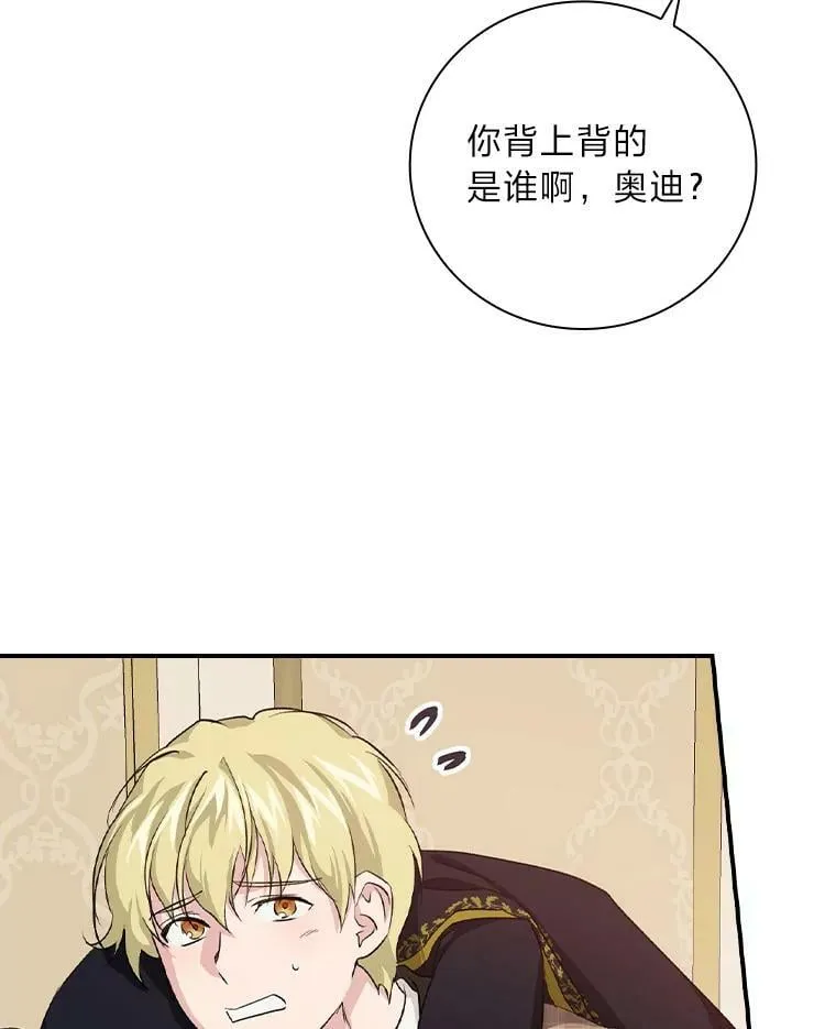35.三个哥哥齐聚一堂 第118页