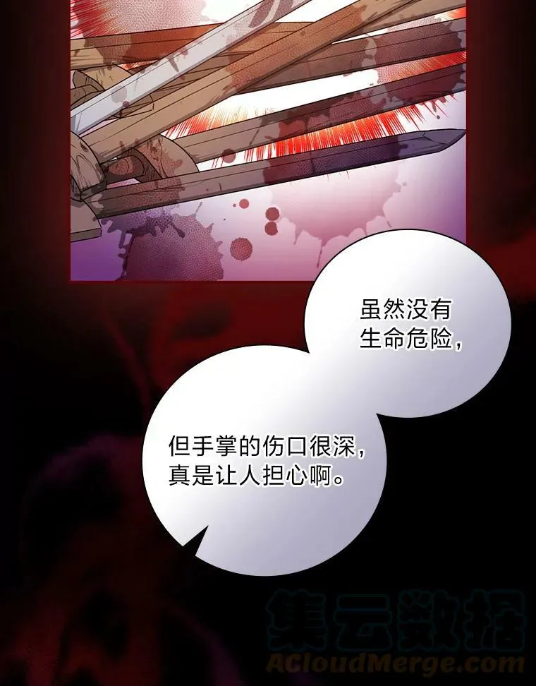 38.再遇马加利斯 第25页