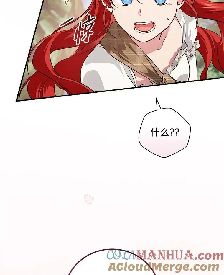 48.临时契约 第113页