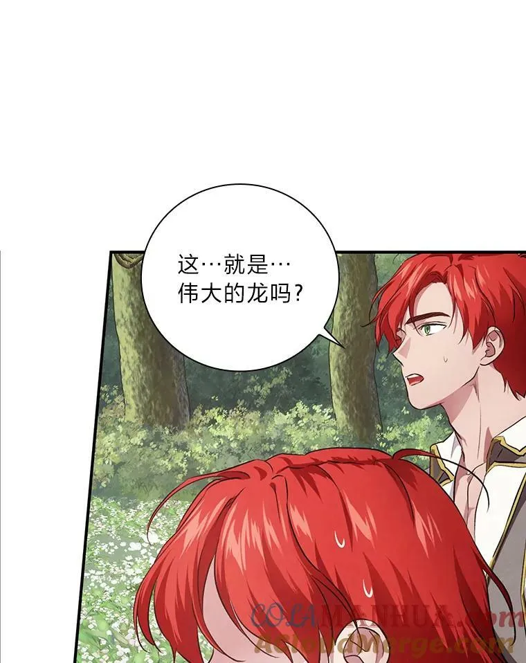 53.龙的魔法 第5页