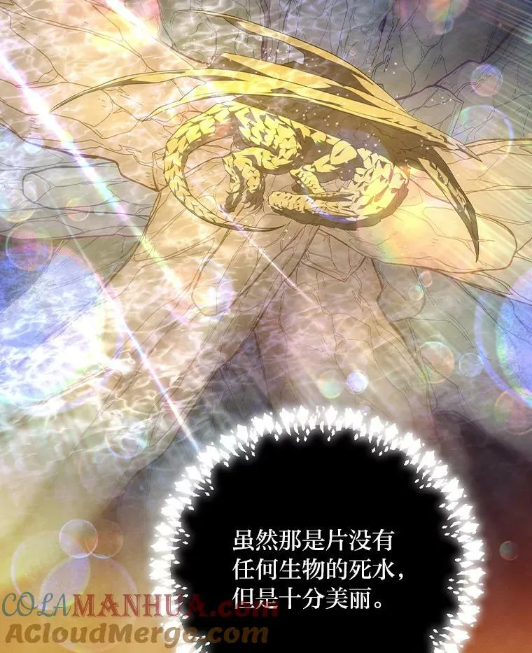 53.龙的魔法 第41页