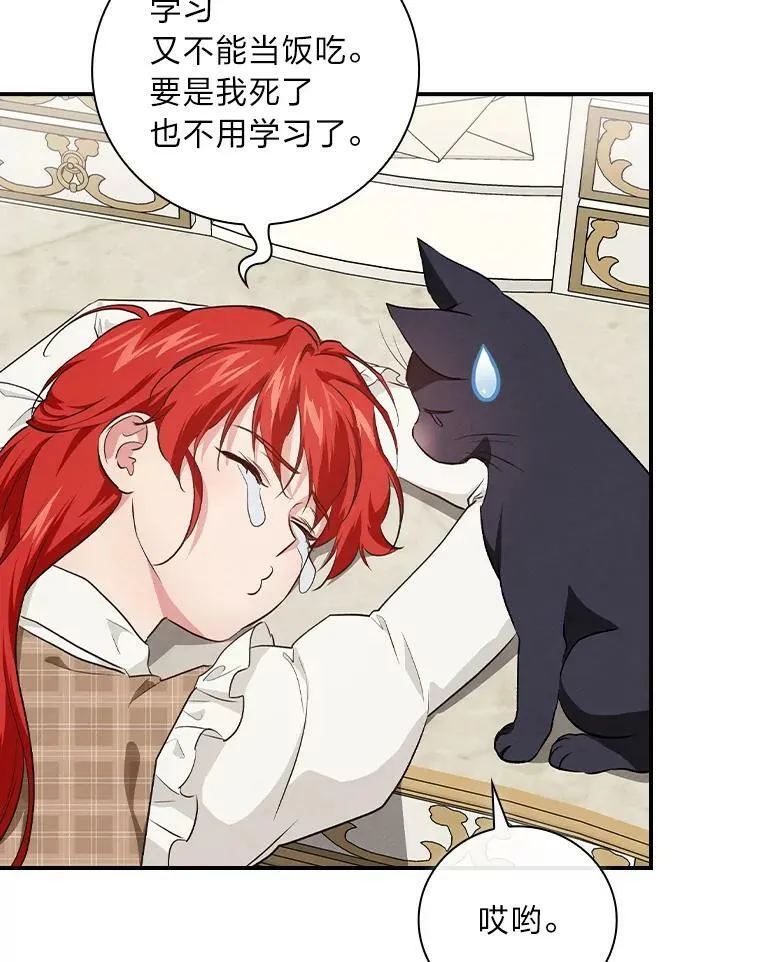 54.期中危机 第98页