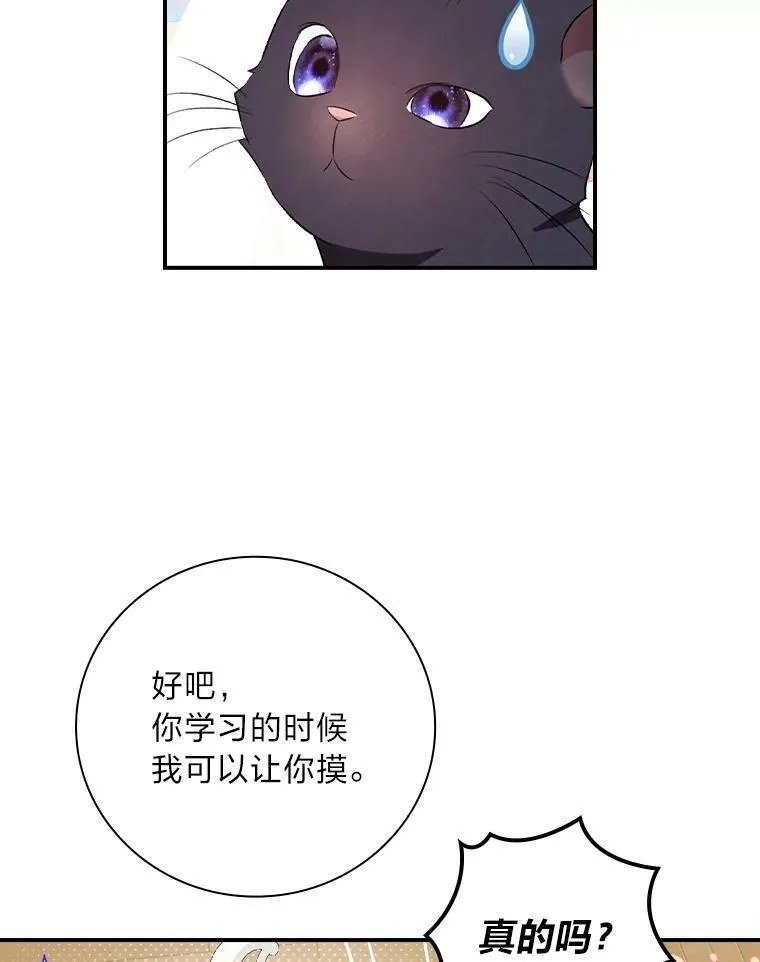 54.期中危机 第100页
