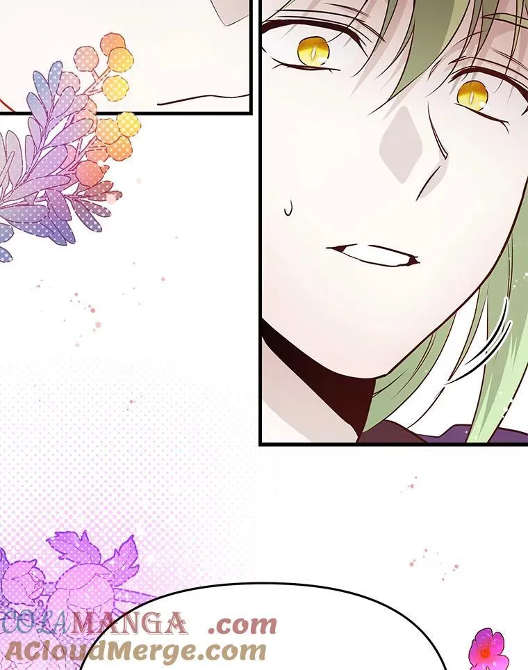 73.宝石赠美人 第97页