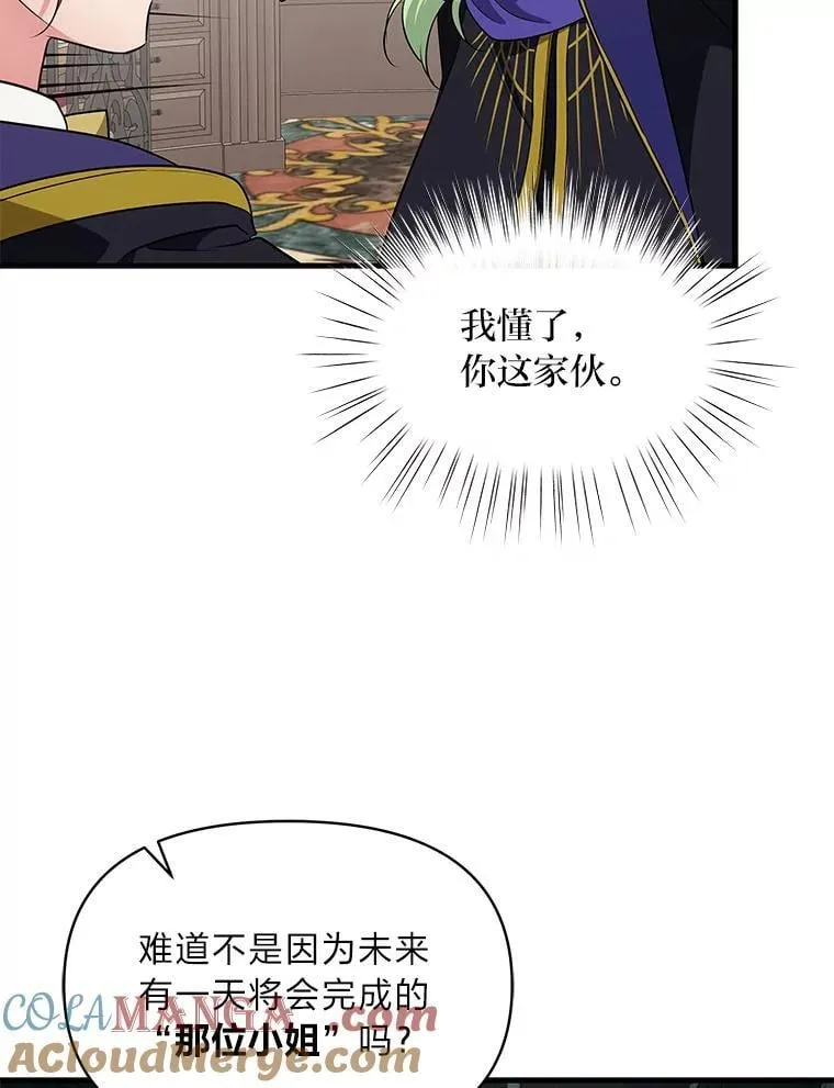 74.直球洁利 第29页