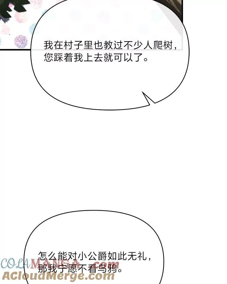 84.寻找乌鸦之旅 第41页