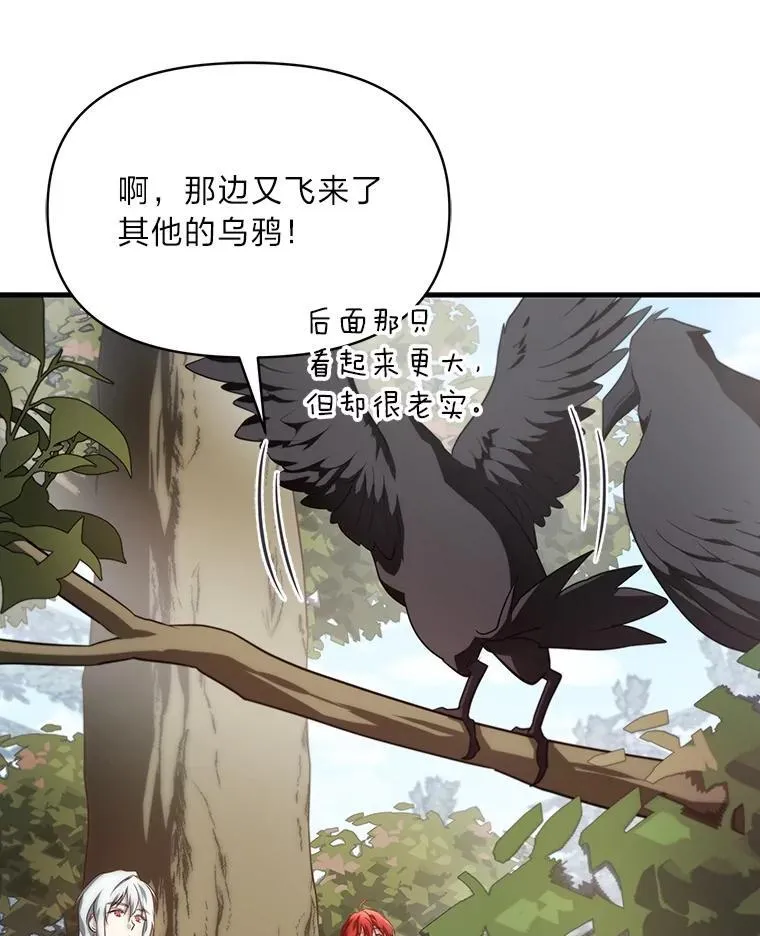 84.寻找乌鸦之旅 第76页