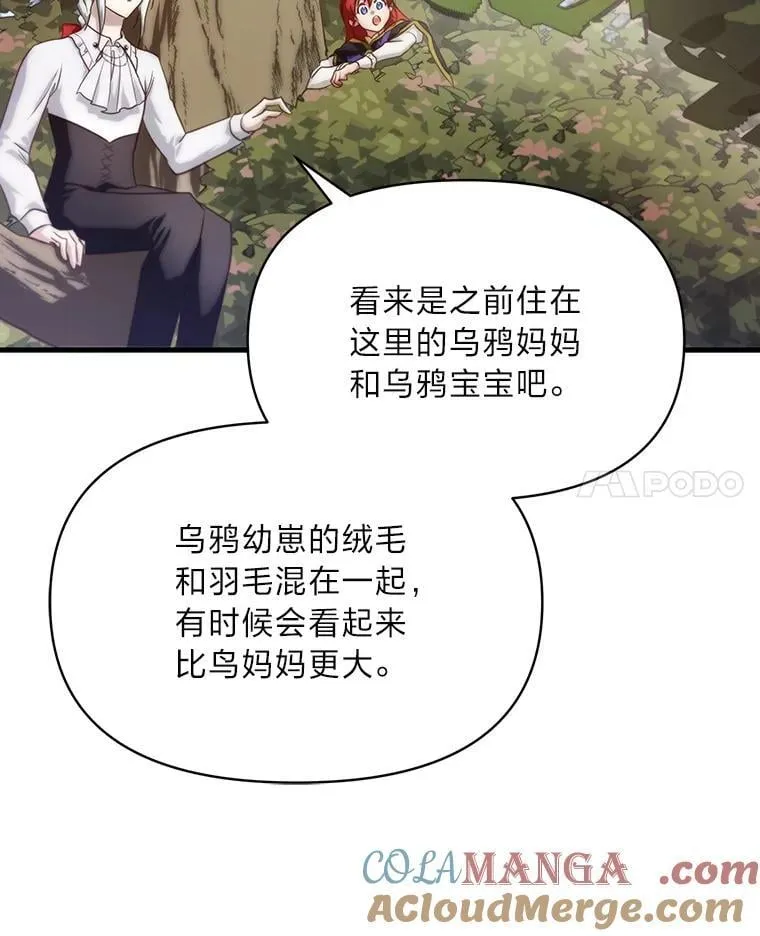84.寻找乌鸦之旅 第77页