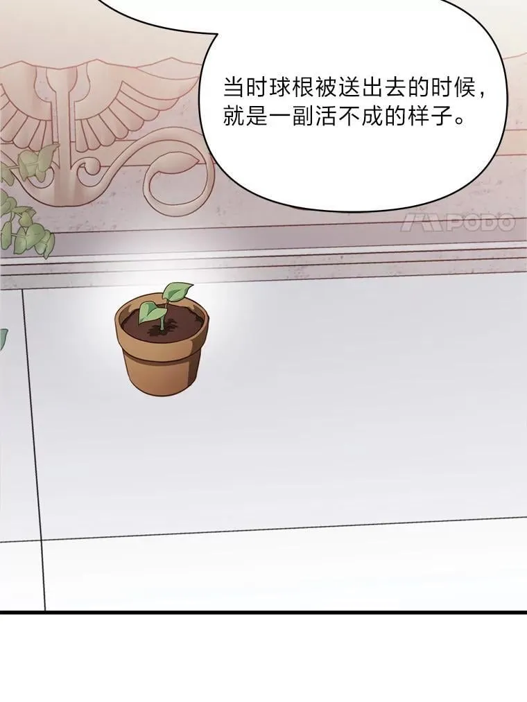 86.许愿成真 第104页