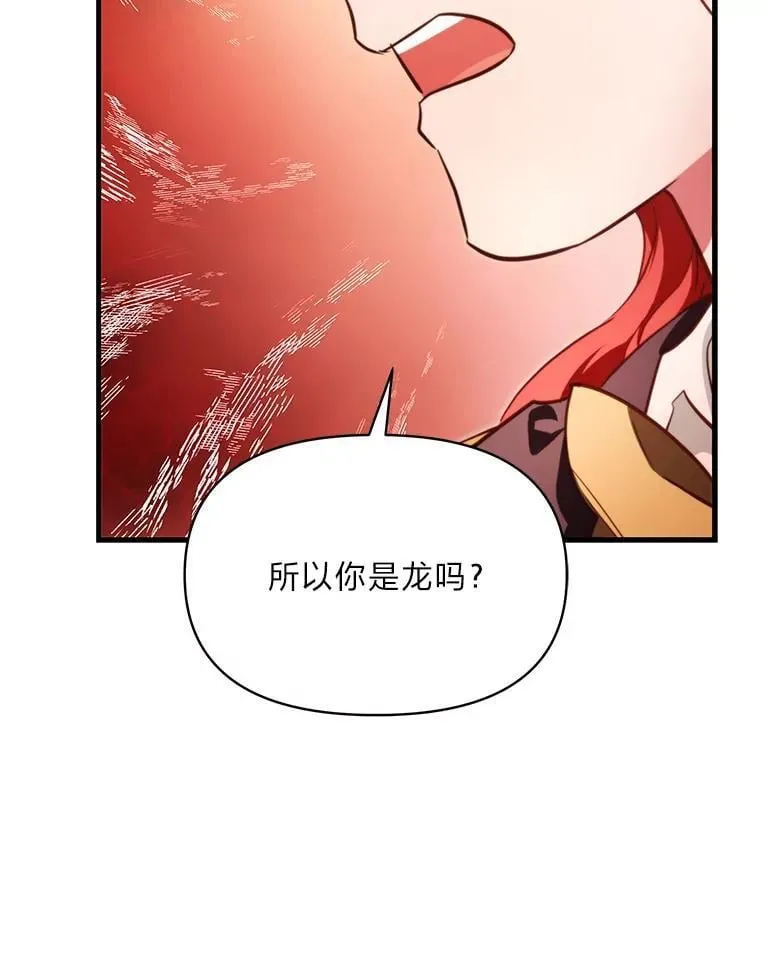 93.马加利斯的请求 第120页