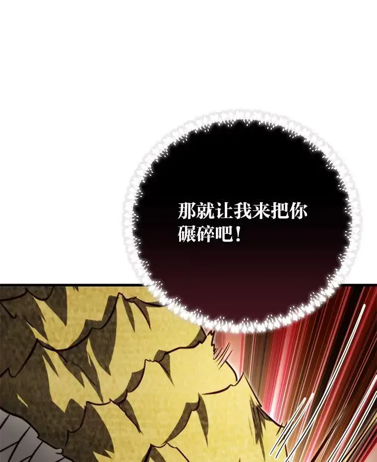 95.并肩作战 第118页
