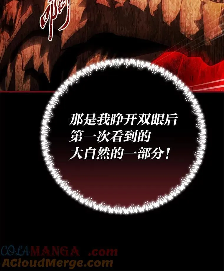 96.真相浮现 第81页