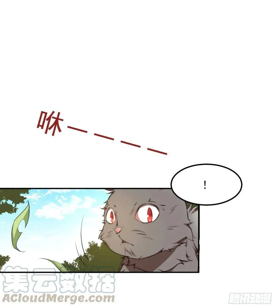 1-我是灵尊之子？ 第45页