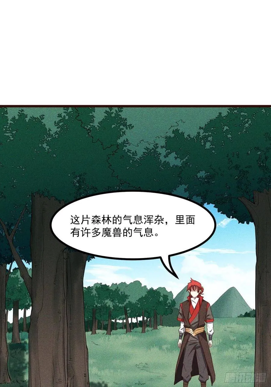 65-无尽兽潮森林 第1页