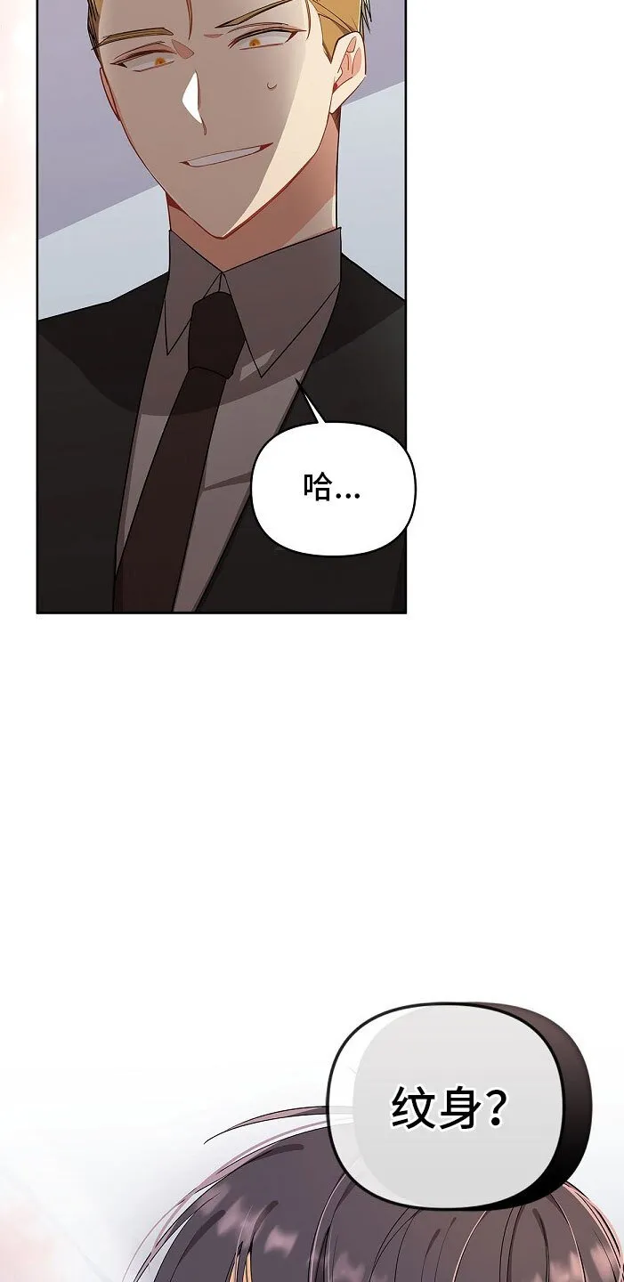 第3章 纹身 第29页