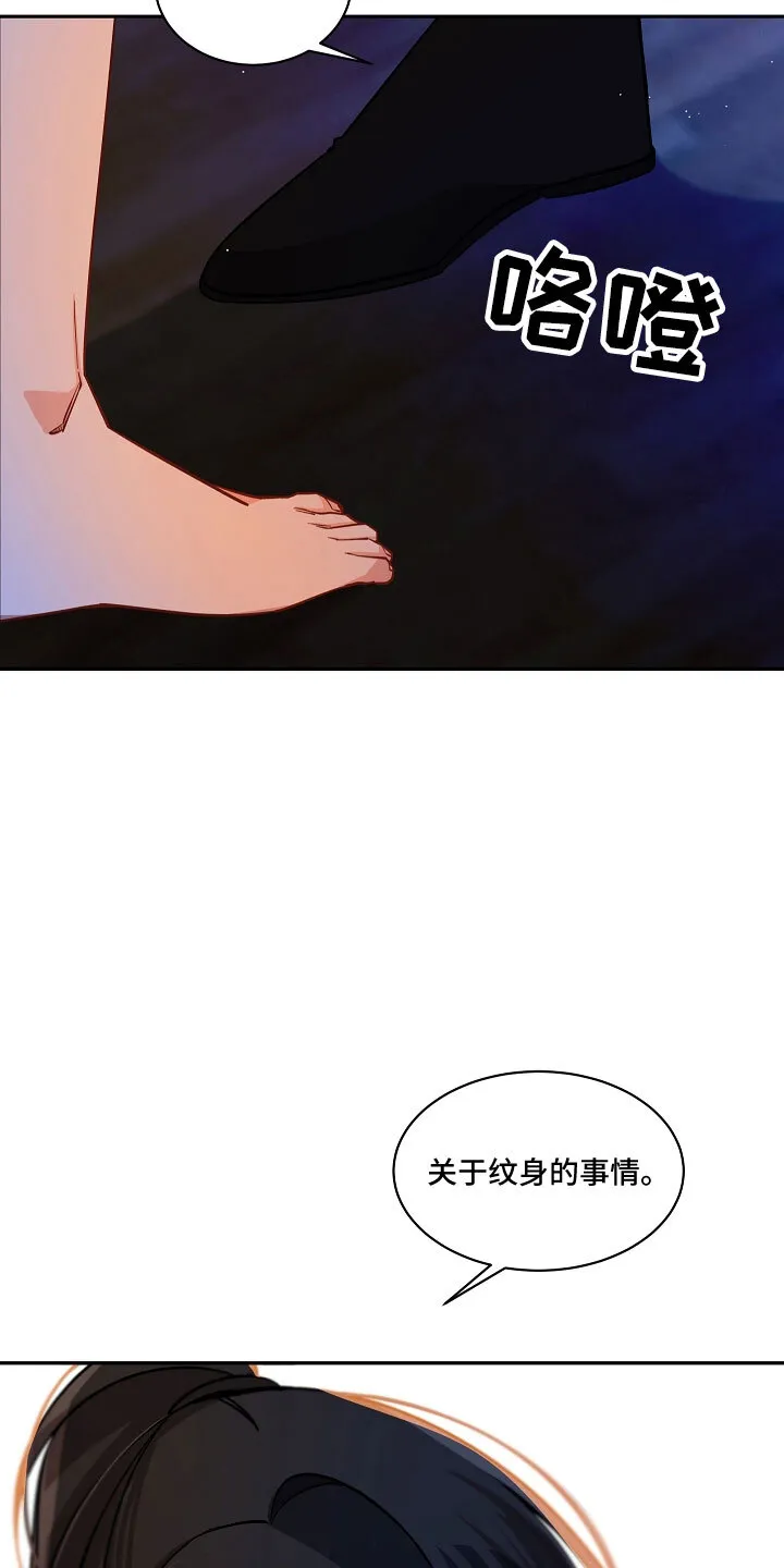 第35章 危险 第13页