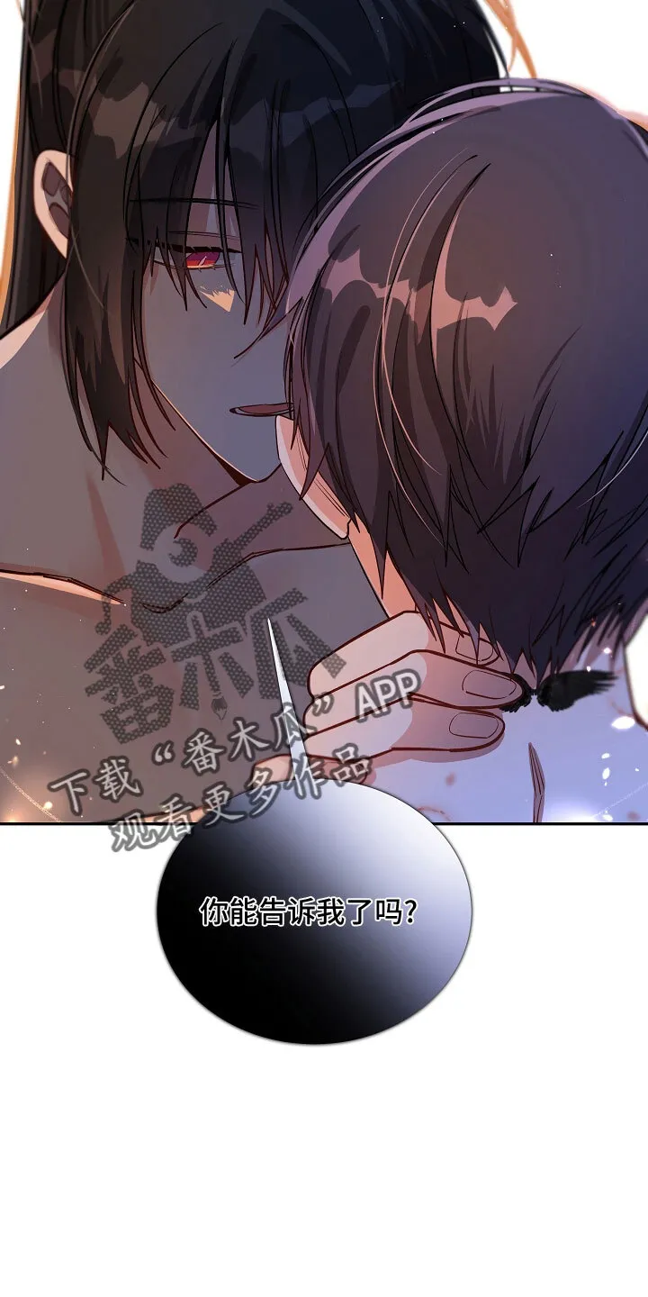 第35章 危险 第15页