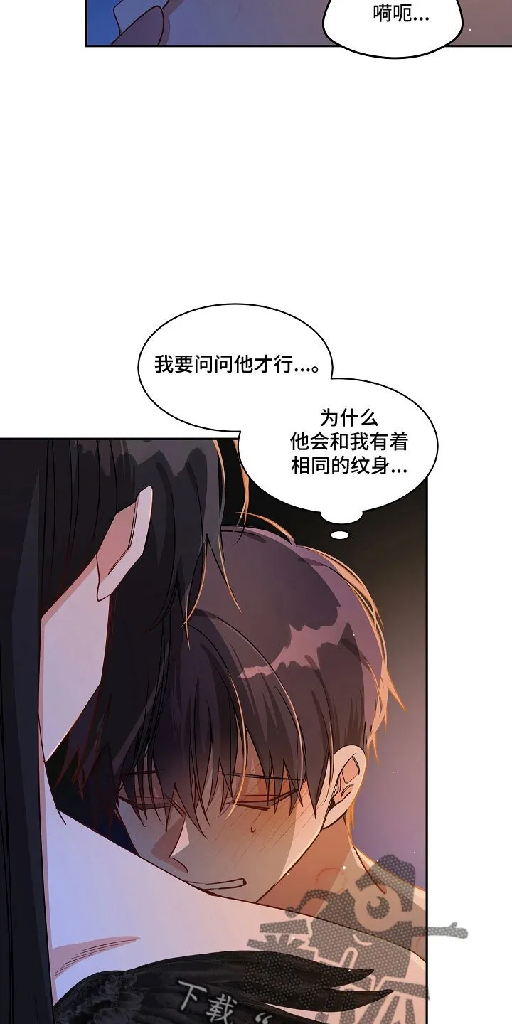 第35章 危险 第17页