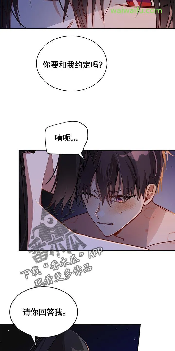 第35章 危险 第23页