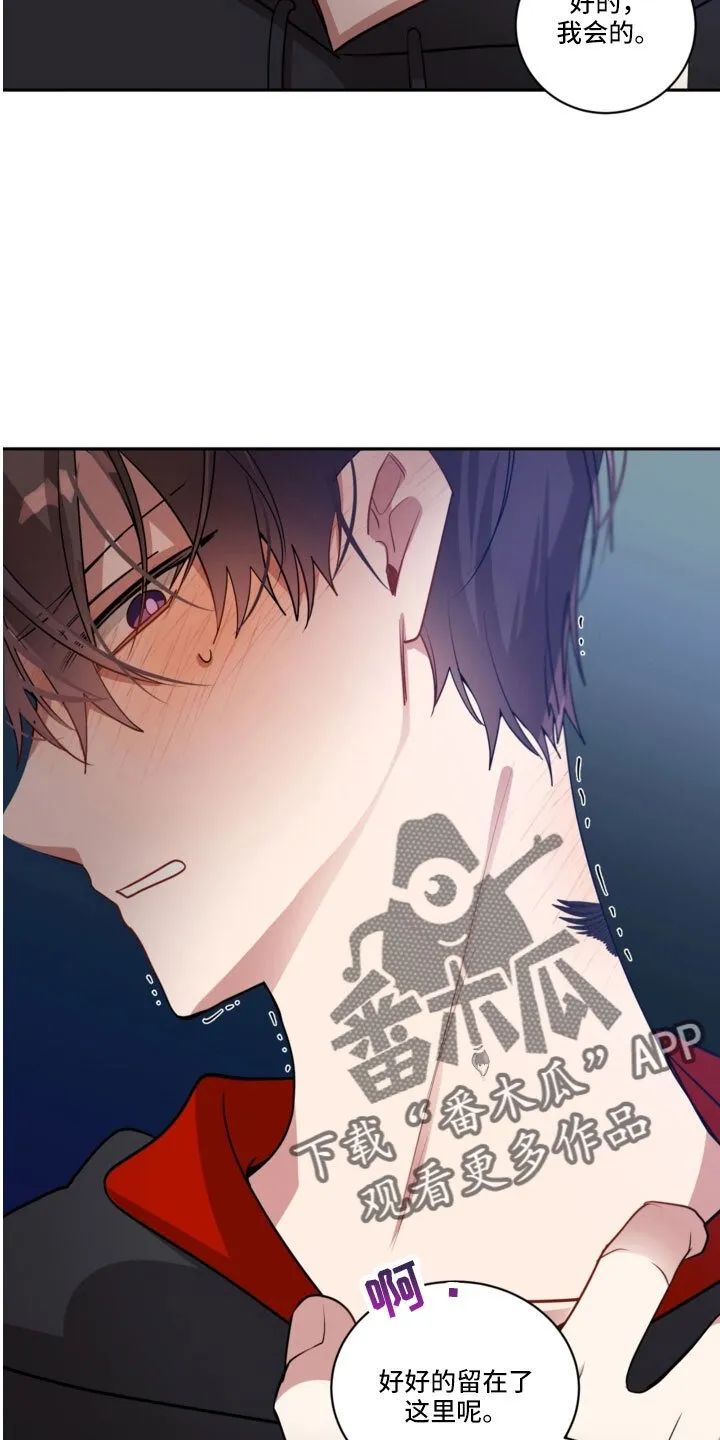第53章 一点不危险 第20页