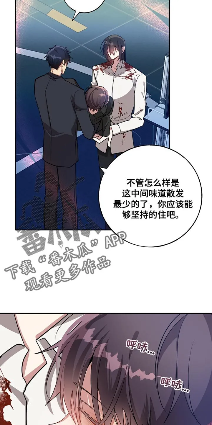 第73章 解除洗脑 第19页