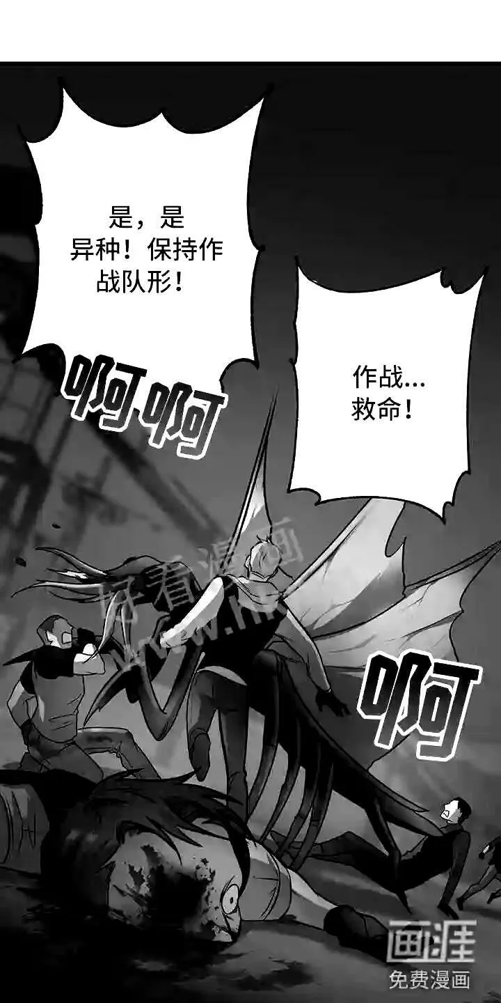 第5章:曦光 第4页