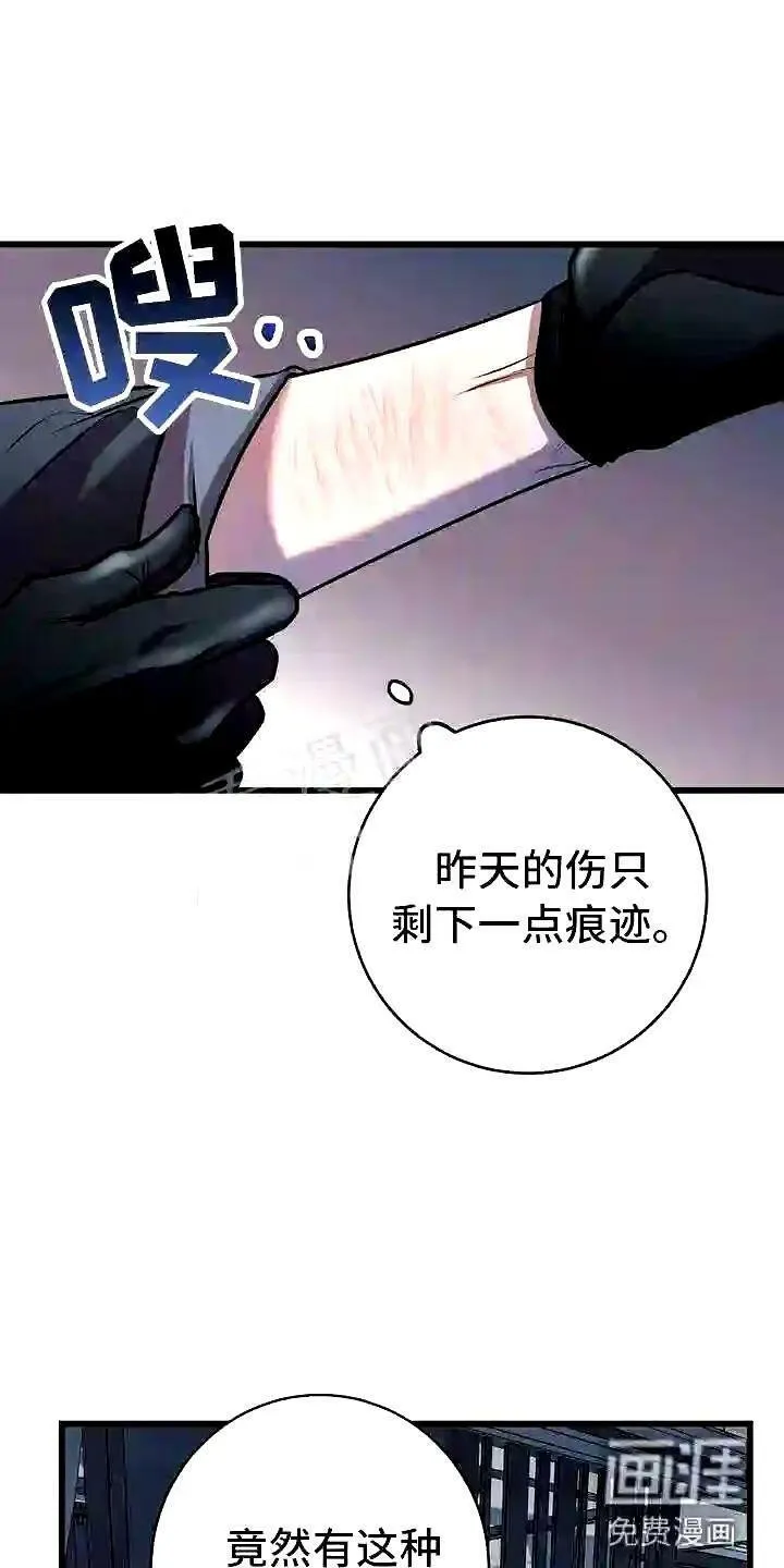 第19章:触底反弹 第3页