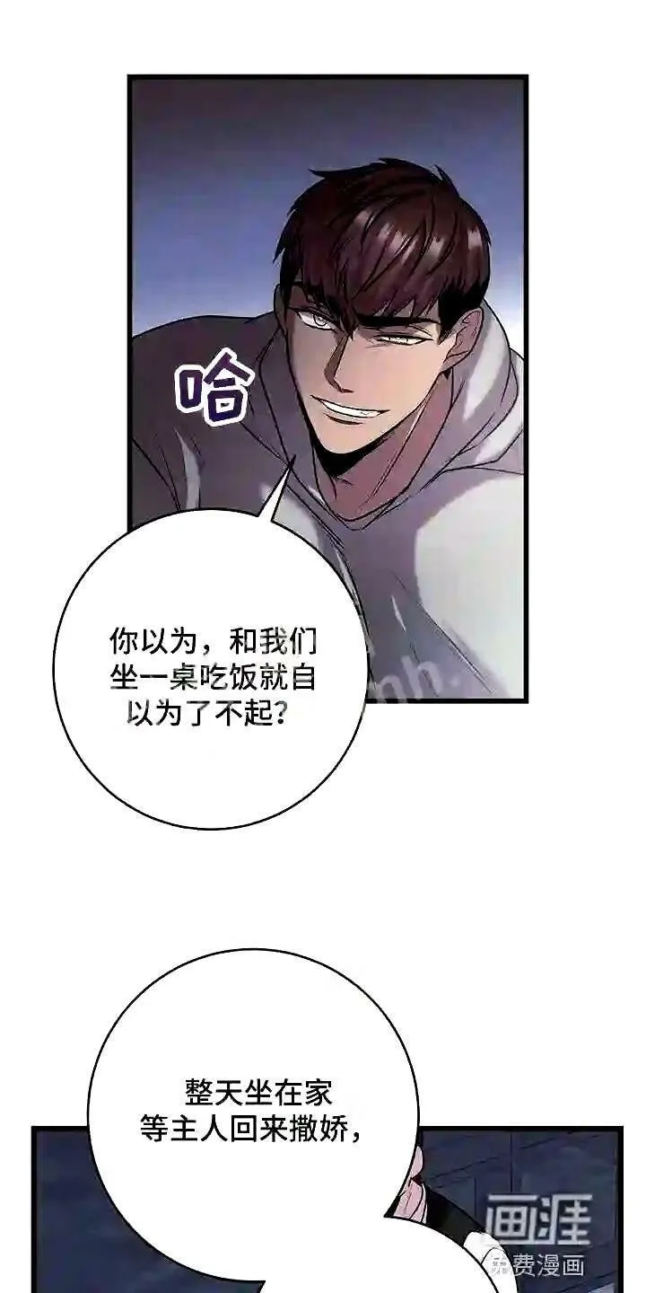 第21章:待客之道 第13页